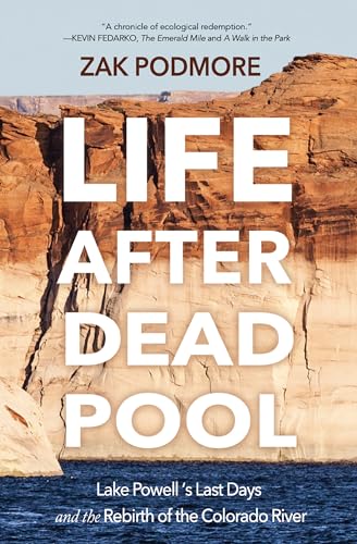 Life After Dead Pool