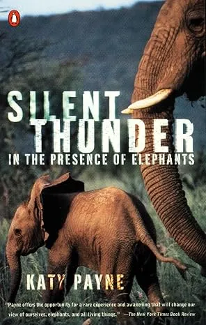SILVER THUNDER : In The Presence Of Elephans