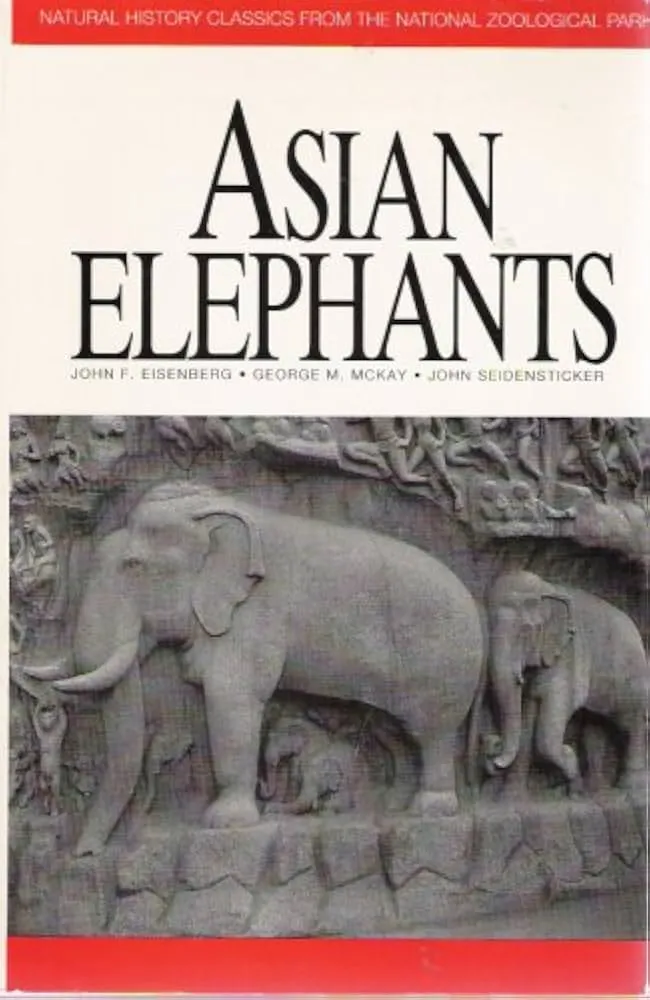 Asian Elephants